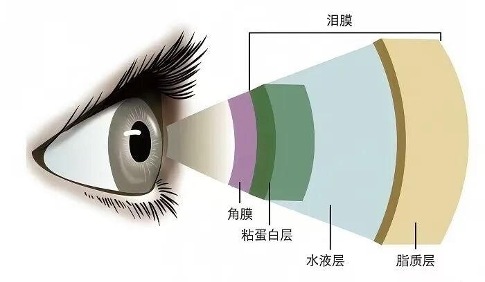 95e5b8f693f4966400f42df33042838b