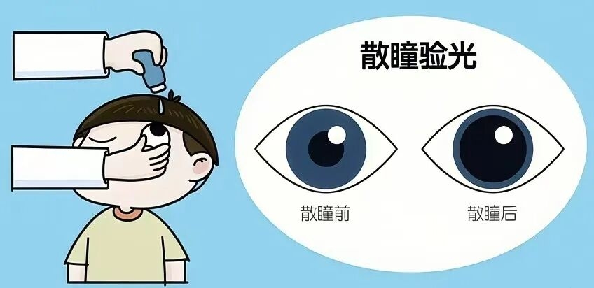 e888c0fea3f15cba03d8a32f7787d70e e888c0fea3f15cba03d8a32f7787d70e