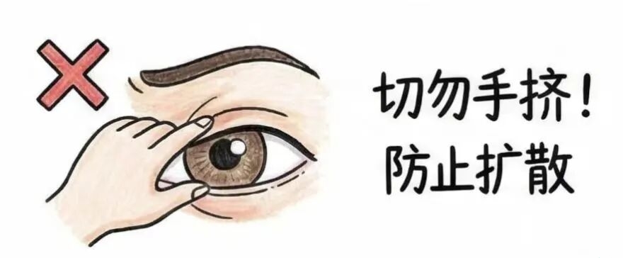 8e5756b83c73cd60f6a19745005c70a5 8e5756b83c73cd60f6a19745005c70a5