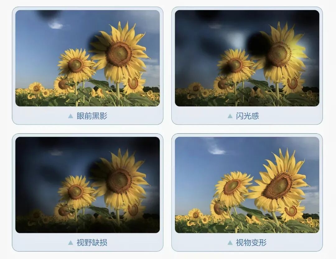 279b77cc07f5893ebe80e3af6d8a7212 279b77cc07f5893ebe80e3af6d8a7212