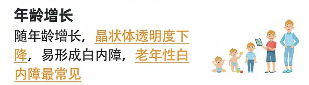bc1b7b6a63fa1bf27c0dc04042a14113 bc1b7b6a63fa1bf27c0dc04042a14113