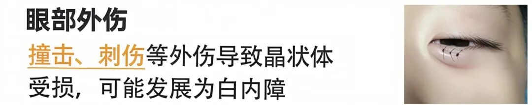 6e24ea53ba7737fcc48dbeb47e57e650 6e24ea53ba7737fcc48dbeb47e57e650