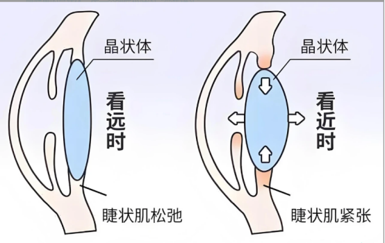 97b56602b5a8d68dc9bcf632d7e0a117 97b56602b5a8d68dc9bcf632d7e0a117