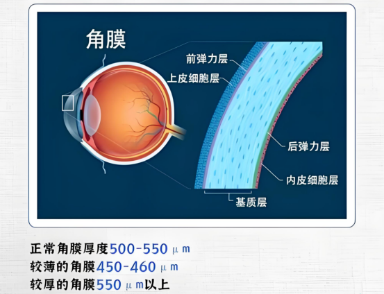 f13d6558f2c6c89e218914cdb2a248f2