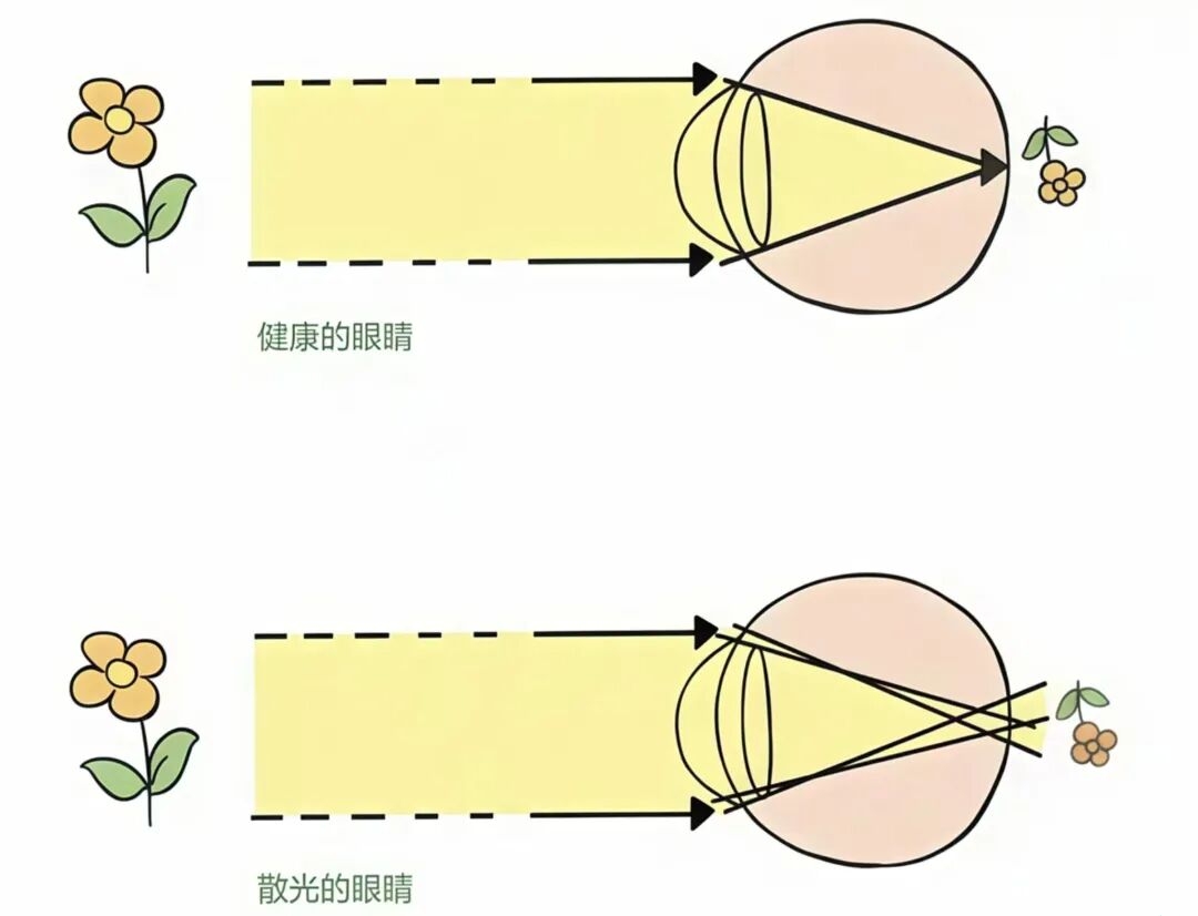 04337c6eefc0863e3b6ec9c6d7db5ab8 04337c6eefc0863e3b6ec9c6d7db5ab8